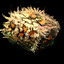 Stolen Sack of Feed.png