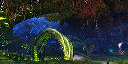 Black Lion Root Cellar.png