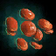 Handful of Red Lentils.png