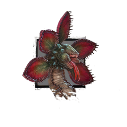 Juvenile Fanged Iboga.png