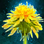 Lovely Dandelion.png