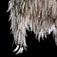Salvageable Pelt.png