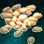 Strawberry Seeds.png