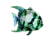 Fish 6.png