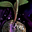 Mysterious Seedling.png