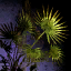 Potted Fan Palm.png