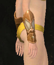 Sanctified Gloves Skin Side.jpg