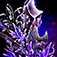 Branded Shield.png
