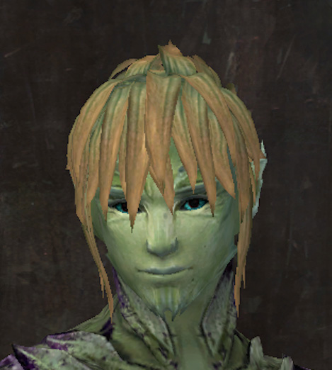 File:Exclusive hair - sylvari male 12.jpg