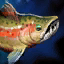 Steelhead Trout.png