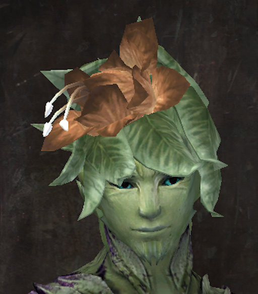 File:Exclusive hair - sylvari male 19.jpg