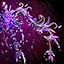 Branded Relic Backpiece.png