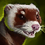 Mischievous Ferret Warclaw Skin.png