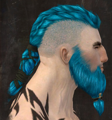 File:Unique norn male hair side 16.jpg