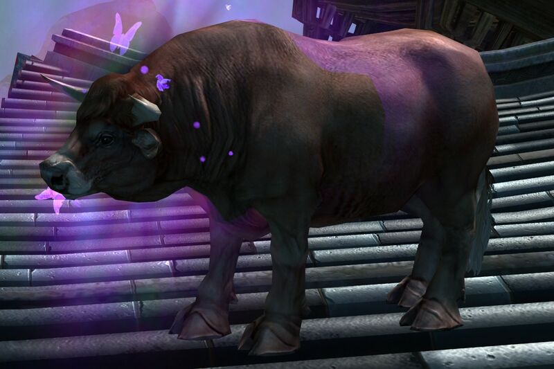 File:Brown Cow (Outer Terrace).jpg