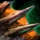 Dorsal Fin.png