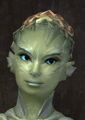 Exclusive hair - sylvari female 16.jpg