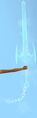 Foefire's Essence 1x Gift of Light 250x Orichalcum Greatsword Blade