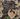 Forged Foothold map.jpg