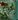 Jetsam Point map.jpg