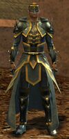 Pact Mage (human).jpg