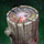 Petrified Wood.png