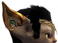 Appearance on a asura.