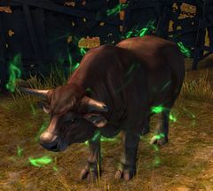 Stinky Cow.jpg