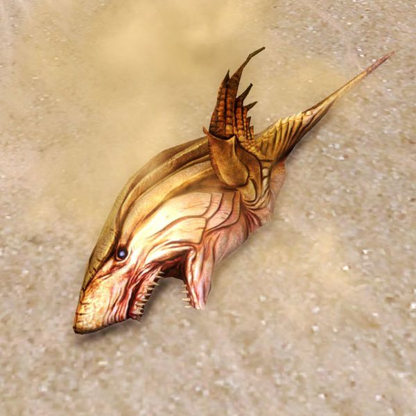 File:Stunned Sand Shark Pup.jpg