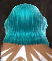 Unique norn male hair back 10.jpg