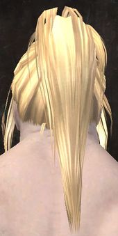Unique norn male hair back 3.jpg