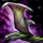 Verdant Warhorn.png