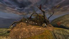 Harpy Nest.jpg