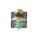 Juvenile Blue Jellyfish.png