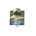 Juvenile Blue Jellyfish.png