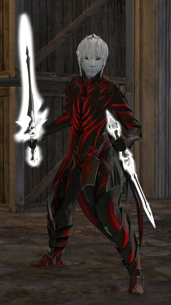 File:Lightborne Adventurer.jpg
