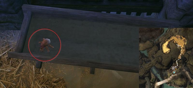 File:Lion's Arch Exterminator 14.jpg