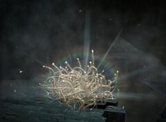 Luminous Plant.jpg