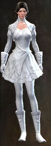 Appearance on light armor.
