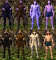 Blue Hylek Potion Transformation comparison.jpg