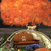 Dog Bench Chair.jpg