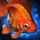 Goldfish.png