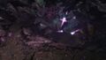 Thumbnail for version as of 03:12, 17 May 2025