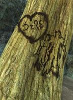 Lovers' Tree initials.jpg