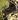 Overlook Caverns map.jpg