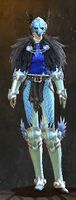 Raven armor human female front.jpg
