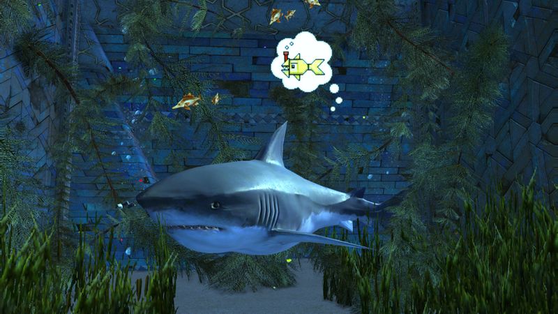 File:Shark in Amnoon.jpg