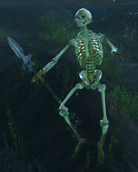File:Skeleton (spear).jpg