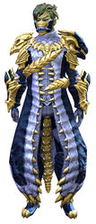 Accursed armor sylvari male front.jpg