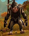 Ash Legion Scout (lws5 male 2).jpg
